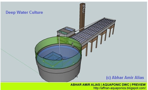 ... , the Aquaponics groups built a Home DWC (Deep Water Culture) system